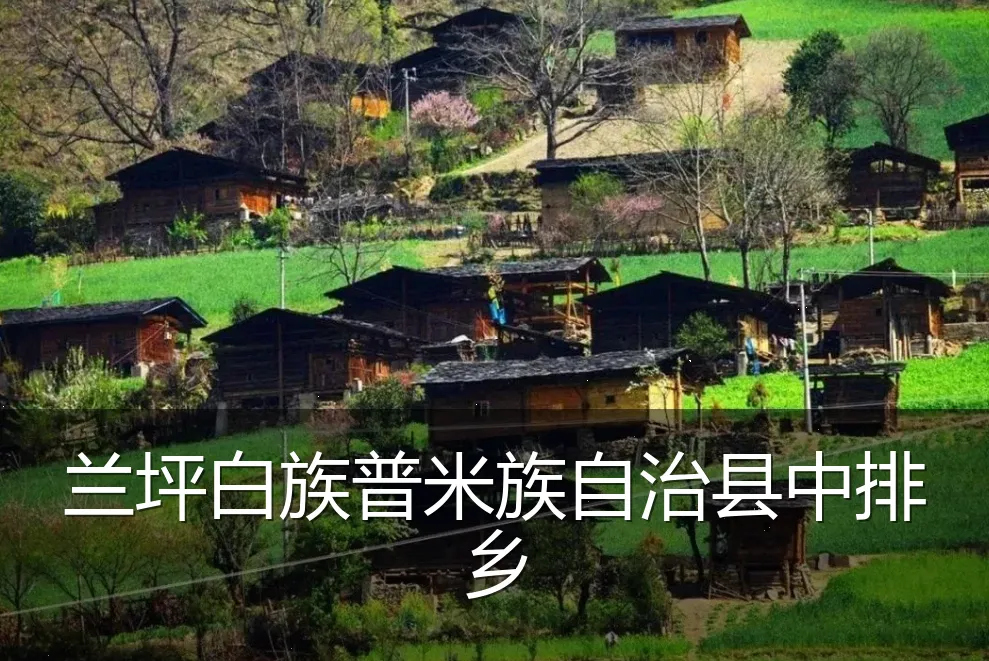 兰坪白族普米族自治县中排乡