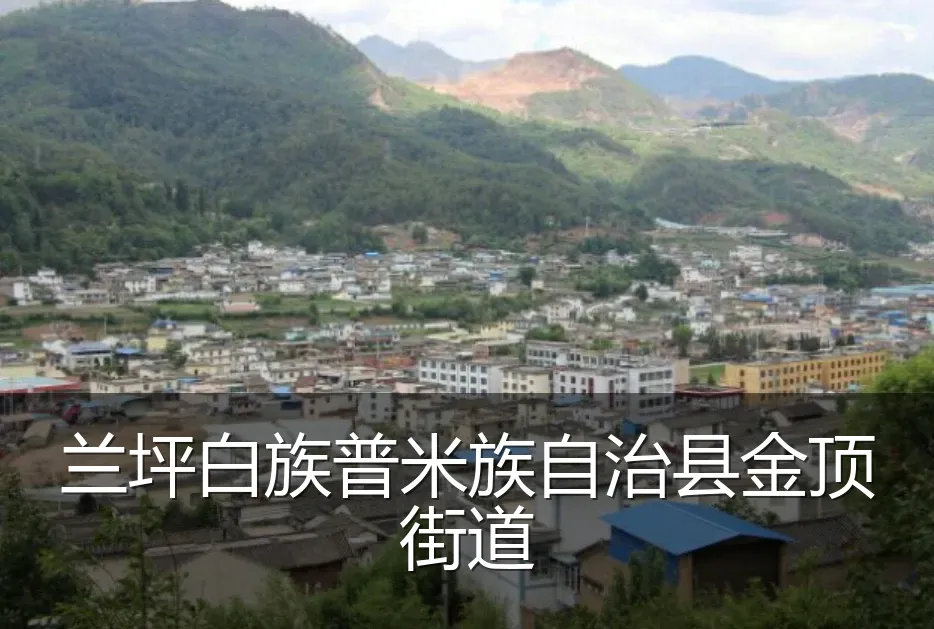兰坪白族普米族自治县金顶街道